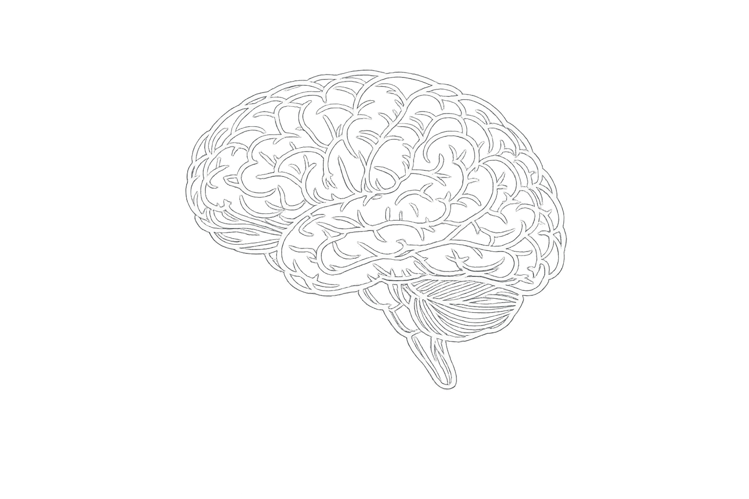 Flobrain neural concept